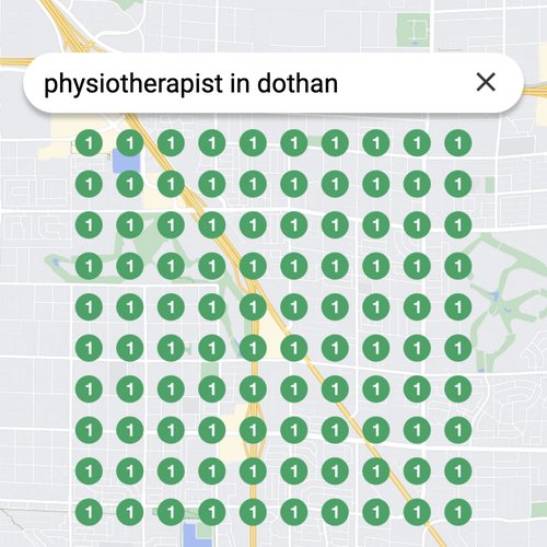 Ranking #1 as an physiotherapist on Google Maps in Dothan