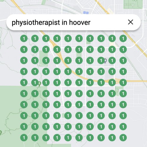 Ranking #1 as an physiotherapist on Google Maps in Hoover