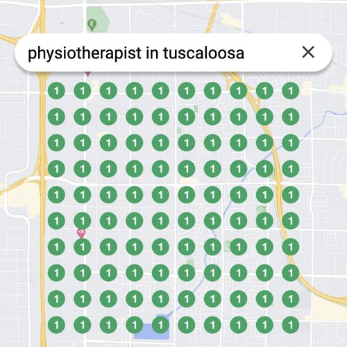 Ranking #1 as an physiotherapist on Google Maps in Tuscaloosa