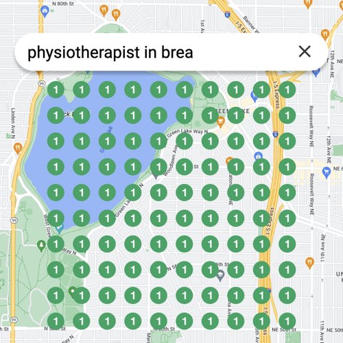 Ranking #1 as an physiotherapist on Google Maps in Brea