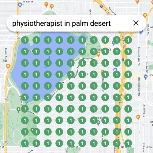 Ranking #1 as an physiotherapist on Google Maps in Palm Desert