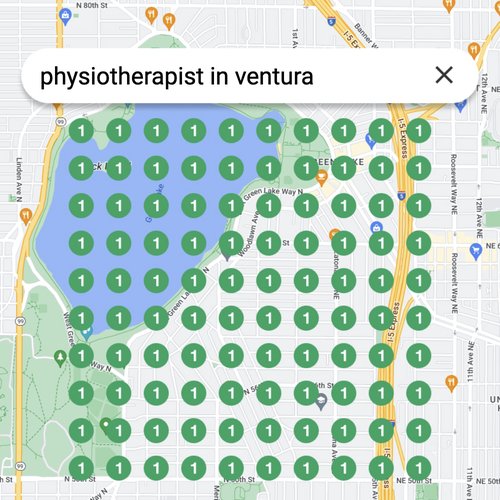 Ranking #1 as an physiotherapist on Google Maps in Ventura