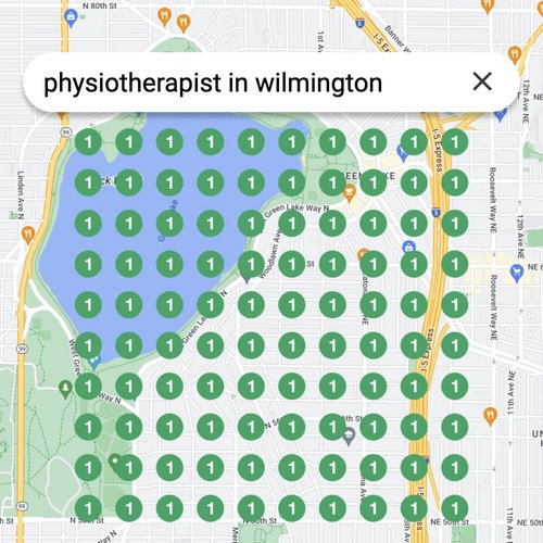 Ranking #1 as an physiotherapist on Google Maps in Wilmington