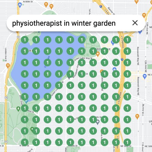 Ranking #1 as an physiotherapist on Google Maps in Winter Garden