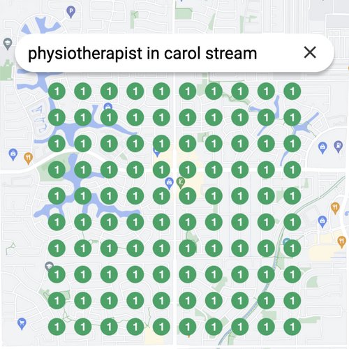 Ranking #1 as an physiotherapist on Google Maps in Carol Stream