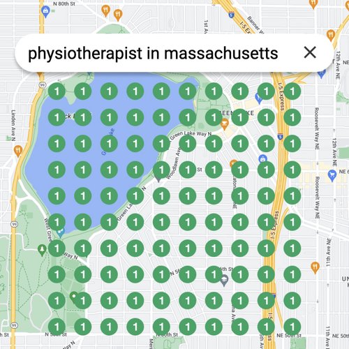 Ranking #1 as an physiotherapist on Google Maps in Massachusetts