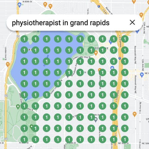 Ranking #1 as an physiotherapist on Google Maps in Grand Rapids