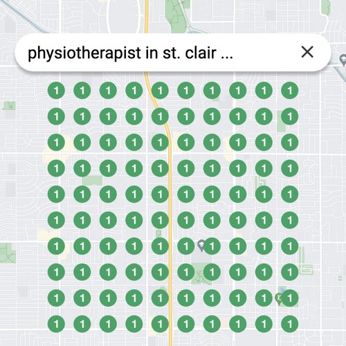 Ranking #1 as an physiotherapist on Google Maps in St. Clair Shores