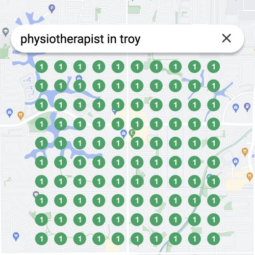 Ranking #1 as an physiotherapist on Google Maps in Troy